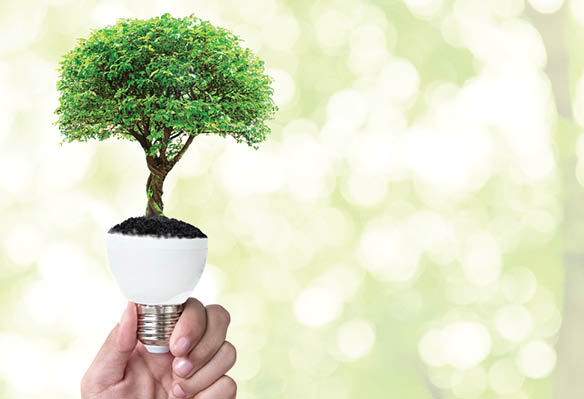 Lighting’s Role in Energy Conservation Is Market Driven