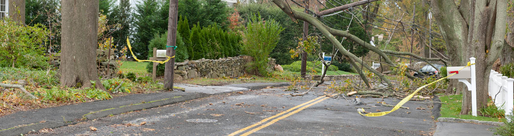 stormReconstruction-HERO-1700x450-3